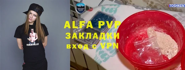 гидра Щигры