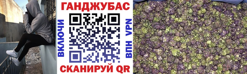 МАРИХУАНА конопля где продают наркотики мега маркетплейс Таруса